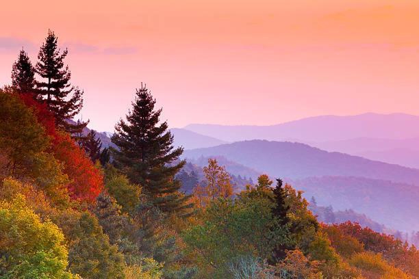 Dreams Come True With This Luxury Cabin! Gatlinburg Exterior foto
