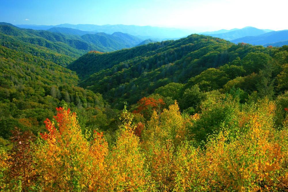 Dreams Come True With This Luxury Cabin! Gatlinburg Exterior foto
